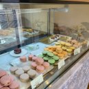 클로버. (clover)37 이미지