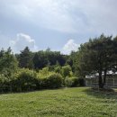 서울 무료 데이트 코스 추천| 푸른수목원 산책 후기🌿