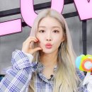 청하 카카오 검색결과