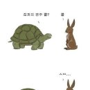 토끼와거북이 이미지