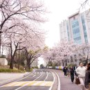 원우기업 | 숫자를 넘어 경영을 이해하다 – Pro-MBA 91기 박태성 원우 인터뷰