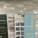 바오새라&숲칼프