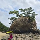 서해랑길 57코스 이미지