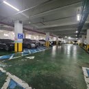 포천C.I.L | 더미인셀포렙 l 안락동 속눈썹 전문샵, 선명하고 자연스러운 플랫 연장 후기