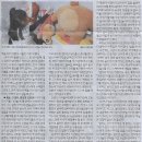 마음선아