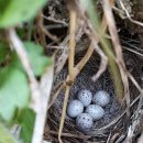 목골농장 이미지