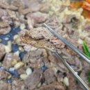 산현농장 이미지