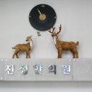 진성한의원 이미지