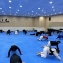 국가대표효자효녀태권도장 | 서울태권도입시/노원구태권도입시/품새선수단/주니어비전팀/2024동계훈련끝장내기!!