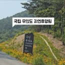 국립무의도자연휴양림 이미지