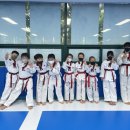 용인대 고려태권도장 이미지