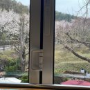 배성유치원 이미지