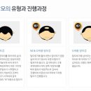 수리수화