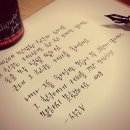 스테노커피 이미지