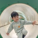 구갈레스피아(어린이놀이터) 이미지