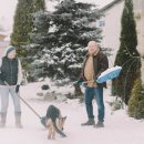 터 애견펜션 이미지