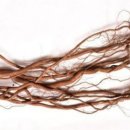 게스트하우스 휴家 이미지