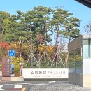 선병원 | 유성 선병원|1년만의 건강검진 후기