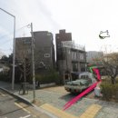 신촌애견미용실 이미지