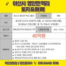 엘리트세무회계와공인중개사사무소 이미지