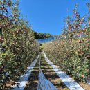 햇터농장 이미지