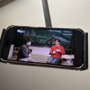 파랑새 어린이 도서관 | 영화 ‘왕과 사는 남자’ 후기ㅣ 역사적 배경 + 책 소개