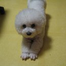 몽글몽글 이미지