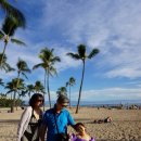 와이키키 이미지