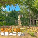 시크릿가든 - 유성구 수통골로71번길 37 | 대구 팔공산 카페 수국 명소 숲속 정원 시크릿가든 후기