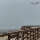 매바위로 | 제부도 섬 한바퀴 5km 러닝 후기