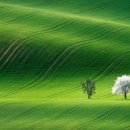 초록풍경 이미지