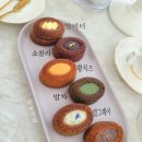 티그레 이미지