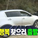 핑크망고 이미지