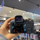 캐논시티 | 용산 전자랜드 카메라 샵 캐논 EOS R5 mark2 후기