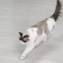 솔빈마루 이미지