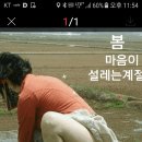 캐러가까 Daum카페