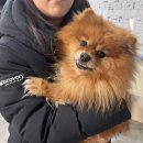 남구-025 이미지