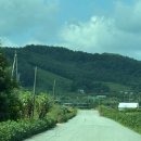 채식농장 | 충주 열명의농부 채식당 | 부모님·아이와 함께 즐기는 건강한 한식 &amp; 유기농 채식