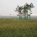 H9309 이미지