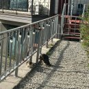 라비 앤 로즈 | 포천 여행) 조식제공에 가성비 최고인 스파펜션 라비앤로즈