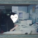 유한지자인 | 여직원에게 묻는 면접 질문 변천사(1994년~2024)