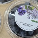 🍑 설원복숭아 🍑 황도 🍑 대극천 🍒 국산체리 🫐 블루베리 🍉 흑수박 🌽 초당옥수수 🍑 살구 🍑 자두 🍑 플럼코트 이미지