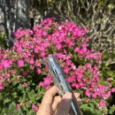 프리메라 | [내돈내산] 여름에도 순하게! 프리메라 비타티놀 세럼 사용 후기