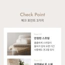 샌드포레스트 이미지