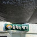 담양 숲속의향기 방문 후기｜아이와 계곡 물놀이하기 좋은 곳, 다슬기·송사리 잡으며 여름 추억 만들기
