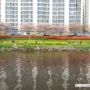 도시철도 교대역 4번출구 이미지