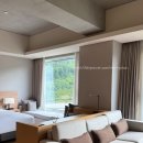 스위트카 - 3180 | 정선 파크로쉬 체크인 및 방 뷰 추천 스위트 숙암 킹 베드 뒷산 케이블카 전망 룸 후기