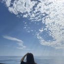가거도 남해 | 녹동 제주도 배편 아리온 제주 예약 방법 할인, 차량, 꿀팁