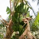 우리돈농장 이미지