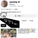 브라보언니 | 제주 공항 근처 탑동 · 동문시장 근처 뭐랭하맨 젤라또 맛집 <브라보> 내돈내산 후기